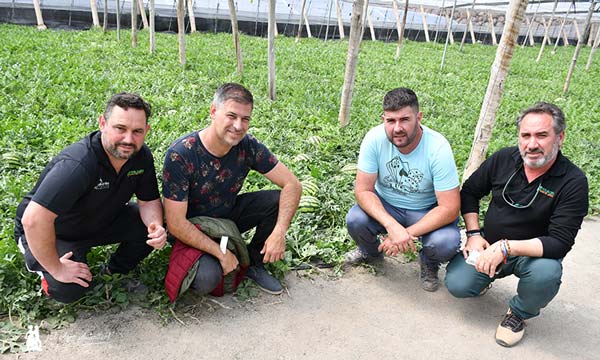 Sergio Aguilar, Enrique Sánchez, Emilio Crespo y José Enrique Parrilla, productores de Adra y Balerma y de Ferliagro / agroautentico.com