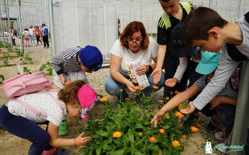 Sueltas de bichos de Agrobío en finca El Aljibe / agroautentico.com
