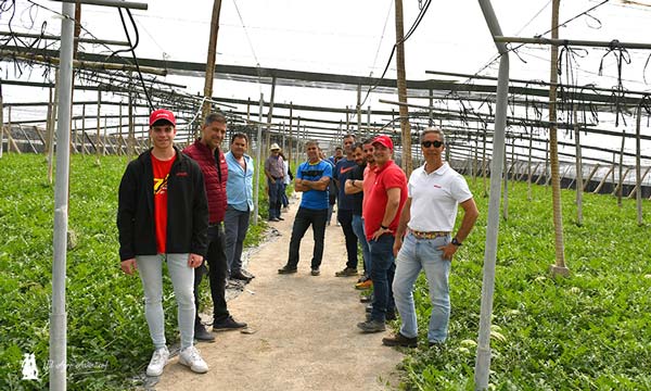 Agricultores y técnicos en la jornada de Brandt sobre el cultivo de sandías extratempranas.