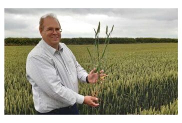Un productor británico logra 2 récords Guinness en trigo y cebada con la tecnología de Ecoculture