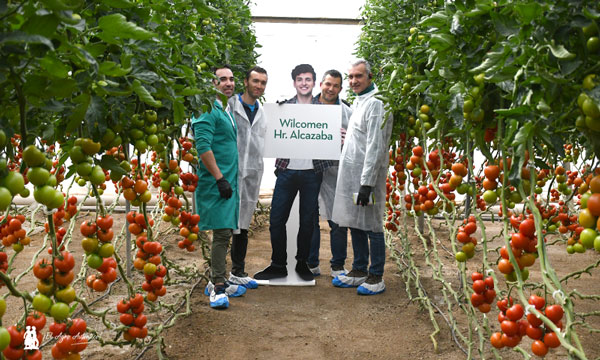 Alejandro, Jorge, Paco y Manuel con tomate Alcazaba / agroautentico.com