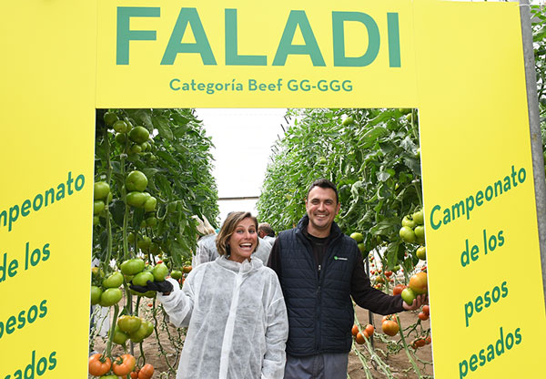 Jesús con su técnica de campo, Maki, con el nuevo tomate Faladi / agroautentico.com