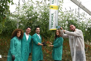 Tomato Experience 2023: resistencias a rugoso y nuevas marcas como Wabi-Sabi