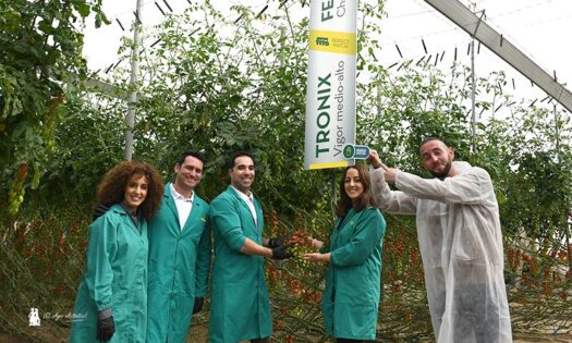 Rajae, Fulgencio, Alejandro, Inma y José Antonio en Tomato Experience en una calle de Ferdinand con el portainjerto Tronix.