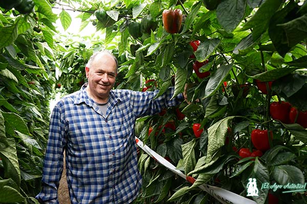 Yonatan Elkind, breeder de Pilpel Seeds / agroautentico.com