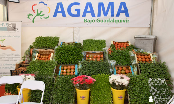 Asociación de Agricultores, Ganaderos y Manchoneros del Bajo Guadalquivir (AGAMA) / agroautentico.com