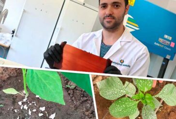 Beyond Seeds desarrolla un nuevo bioplástico vegetal