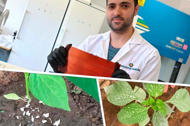 Beyond Seeds desarrolla un nuevo bioplástico vegetal
