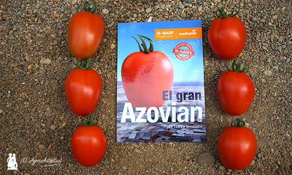 Cartel del tomate Azovian / agroautentico.com