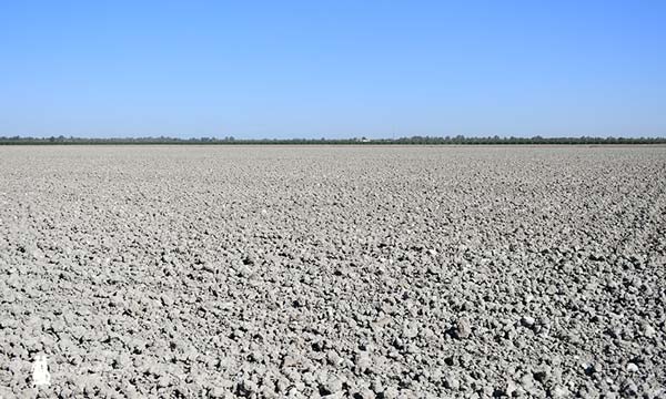 En pocas semanas estos terrenos serán arrozales / agroautentico.com