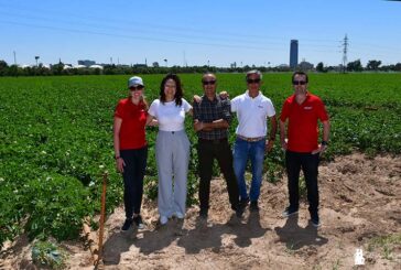 Brandt nos descubre en Sevilla y Huelva la resiliencia en la agricultura