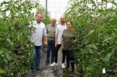 El Plantel sirve la plántula de los tomates más gourmet de Sevilla