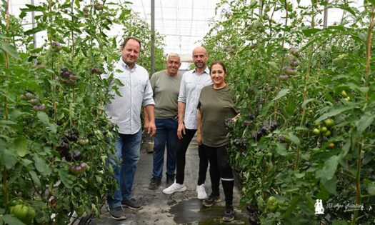El Plantel en Sevilla: Ángel y Fernando con este matrimonio de agricultores, Juan Carlos y Soledad / agroautentico.com