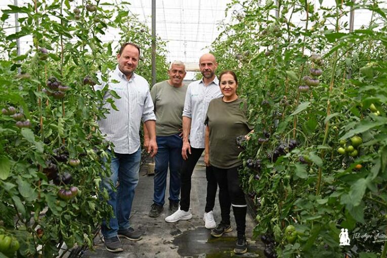 El Plantel sirve la plántula de los tomates más gourmet de Sevilla