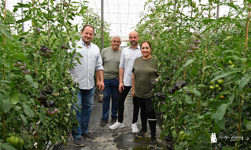 El Plantel sirve la plántula de los tomates más gourmet de Sevilla