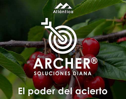 Atlántica Agrícola, empresa de Grupo Atlántica, lanza Archer®, una nueva línea de Soluciones Diana- noticias.-agroautentico.com