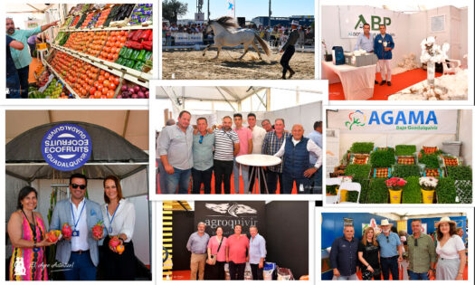 La feria de Los Palacios y Villafranca / agroautentico.com
