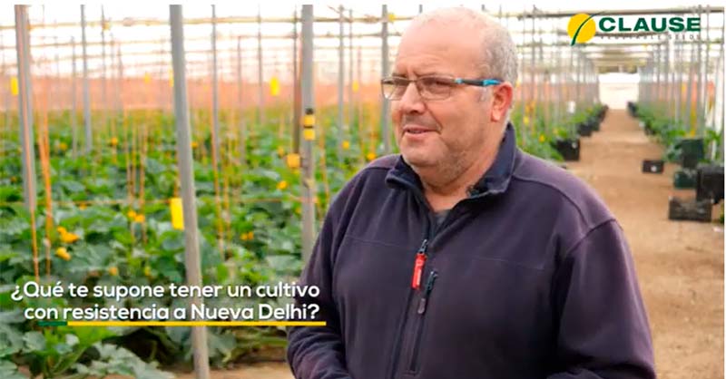 HM.CLAUSE presenta EL CAMPO HABLA DE… una nueva sección de información en la cual se recogen los testimonios y experiencias del campo de Almería-agroautentico.com