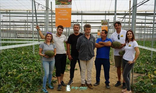 Jornadas de melón Corcel en Adra / agroautentico.com