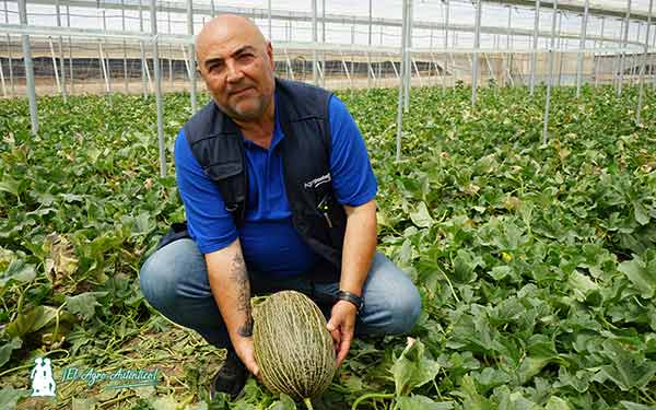 José Antonio Enriquez, responsable del almacén de Agroponiente en Adra y especialista en compras de piel de sapo. Marca el 'Bombón' de Agroponiente.