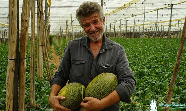 Manuel Viso Sánchez con melón Corcel / agroautentico.com