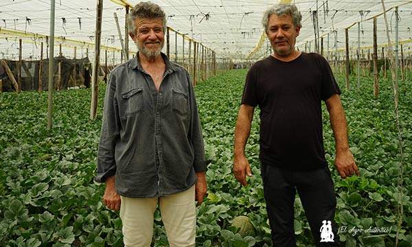 Manuel Viso y Juan Gómez son productores de melón Corcel en Adra / agroautentico.com