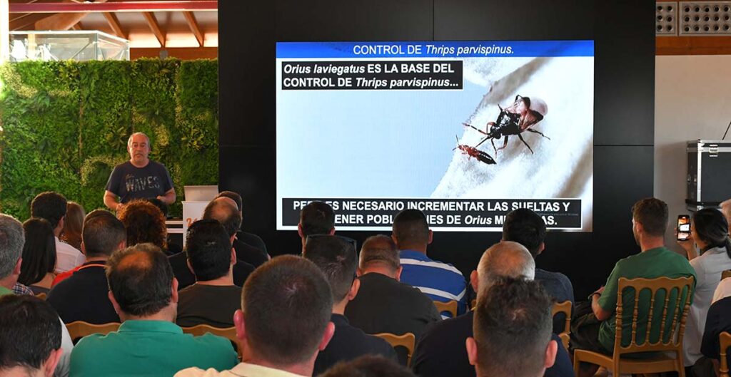 Magistral ponencia sobre control de Parvispinus en el evento de pimiento de Hazera por Paco Sola