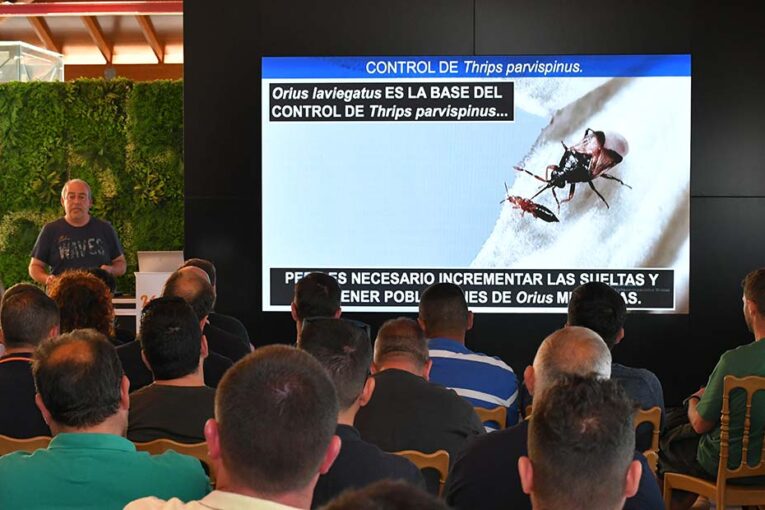 Magistral ponencia sobre control de Parvispinus en el evento de pimiento de Hazera