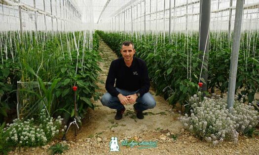 Víctor Molina, director técnico de Biosur / agroautentico.com