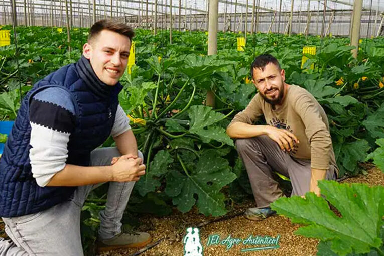 El esperado Fungisei llega a los hortícolas de invernadero