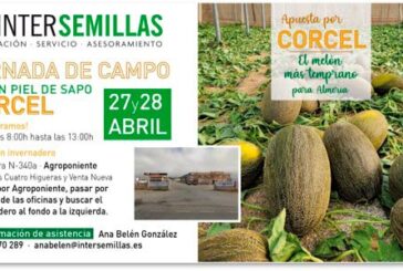 Días 27 y 28 de abril. Jornadas de campo de melón Corcel