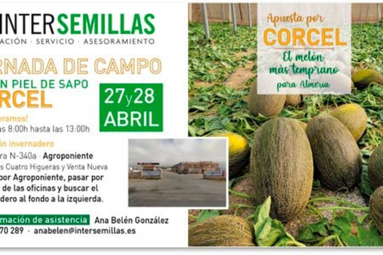 Días 27 y 28 de abril. Jornadas de campo de melón Corcel
