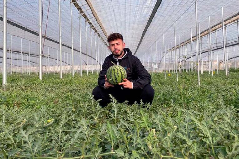 Cuatro generaciones cultivando sandías confluyen en Campojoyma