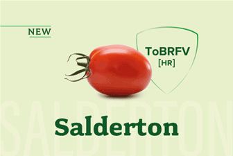 DIVISOR 3 TOMATECH 23