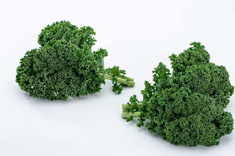 Sakata aterriza en el cultivo del kale con Blue Ridge