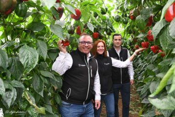 Botanigard combate pulgones y parvispinus en pimiento
