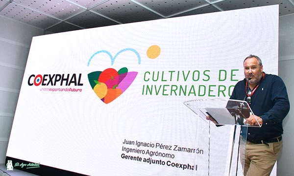 Juan Ignacio Pérez Zamarrón, gerente adjunto de Coexphal / agroautentico.com