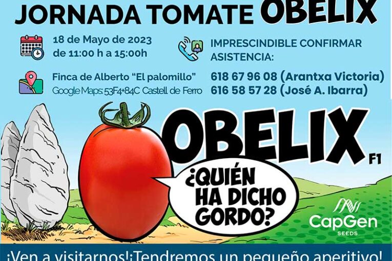 Día 18 de mayo. Jornada de tomate Obelix