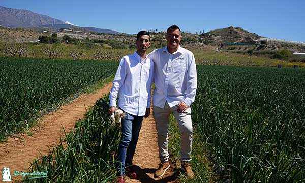 Francisco Lupión y Manolo Uroz. Equipo de Fertiberia TECH. Cebolla / agroautentico.com