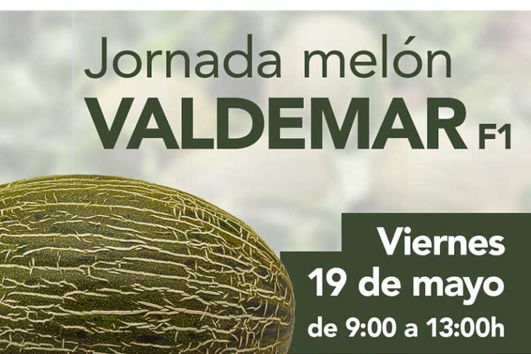 Día 19 de mayo. Jornada de melón de HM.Clause