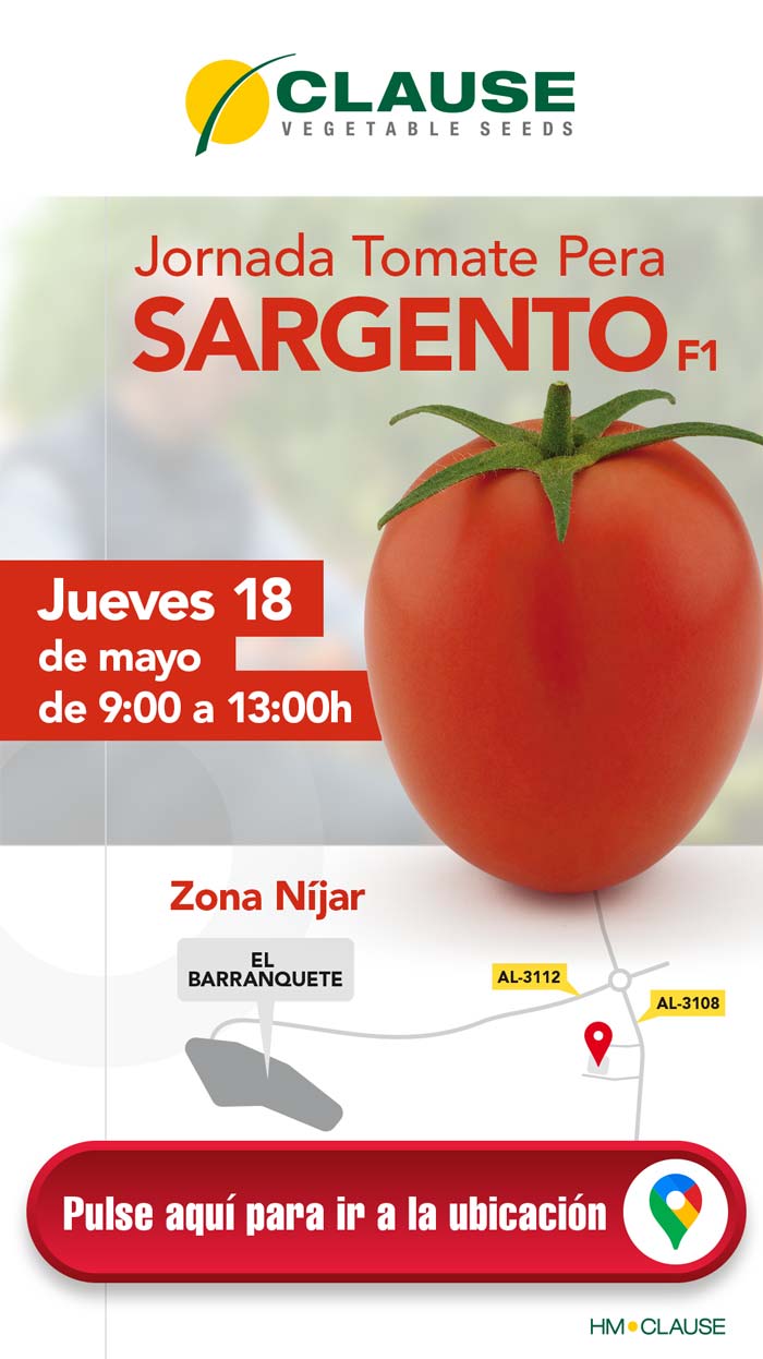 Jornada de tomate pera Sargento-noticias-agroautentico.com