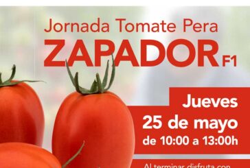 Día 25 de mayo. Jornada de tomate pera de HM.Clause