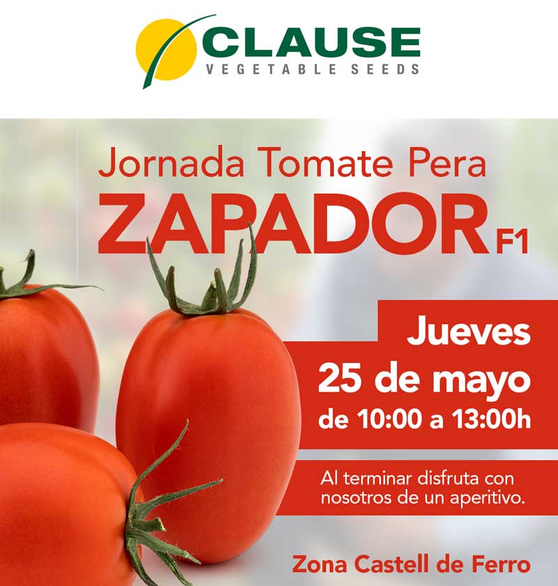 Día 25 de mayo. Jornada de tomate pera de HM.Clause