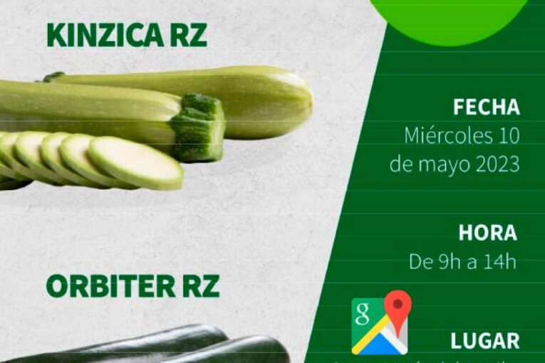 Día 10 de mayo. Jornada de calabacín de Rijk Zwaan