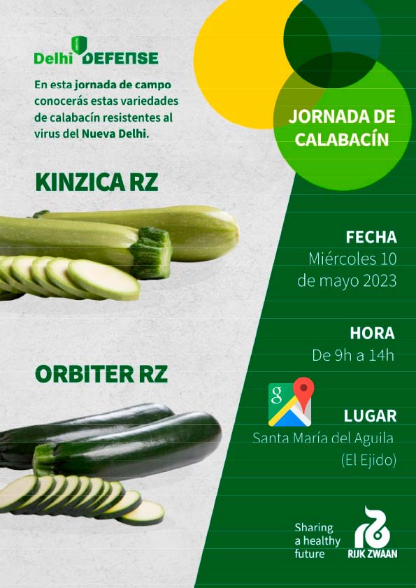 Día 10 de mayo. Jornada de calabacín de Rijk Zwaan