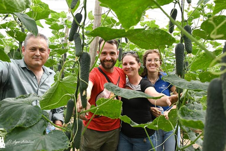 CapGen eleva la categoría del pepino corto con Españolo