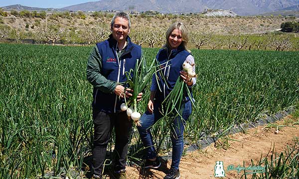 Santiago Navarro y Jessica Miñano. Agroquímicos Esteban. Fertiberia TECH cebolla / agroautentico.com