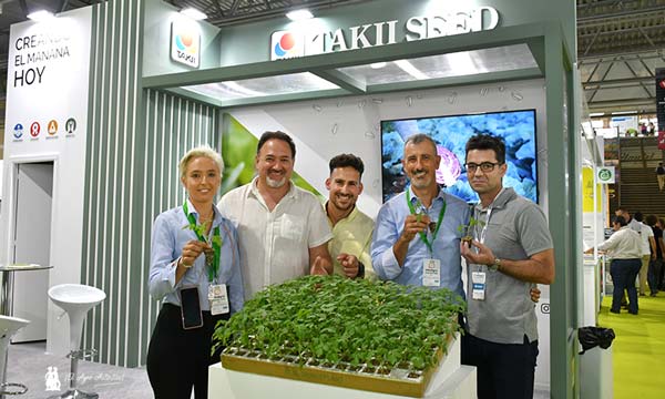 Bandeja de portainjertos en el stand de Takii Seed en Infoagro 2023 / agroautentico.com