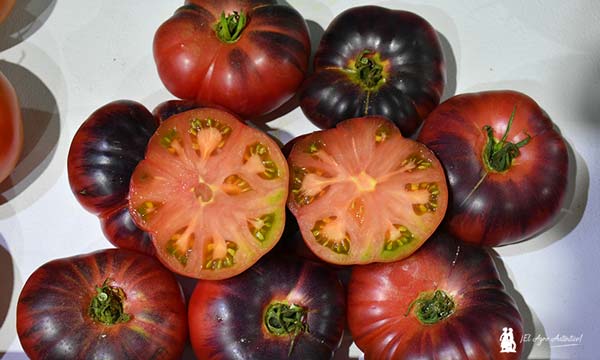 El tomate con tonalidades azuladas de Ramiro Arnedo / agroautentico.com