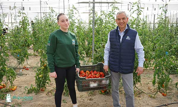 Tomates del invernadero de EFA Campomar. Con José María Molina / agroautentico.com